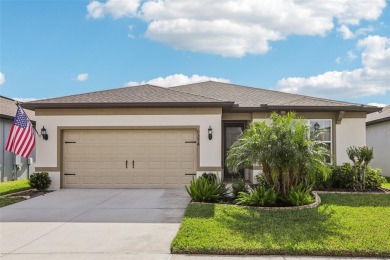 Lake Home For Sale in Zephyrhills, Florida