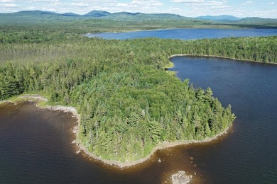 This lot has 1000ft of waterfront on Cupsuptic Lake! This is the - photo 1
