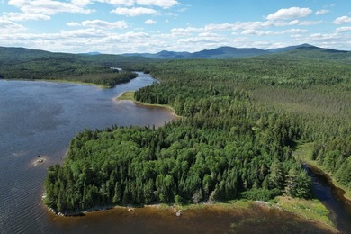 This lot has 1000ft of waterfront on Cupsuptic Lake! This is the - photo 3