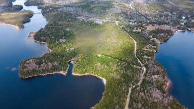 This lot has 1000ft of waterfront on Cupsuptic Lake! This is the - photo 5