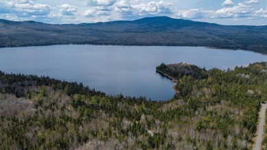 This lot has 1000ft of waterfront on Cupsuptic Lake! This is the - photo 8