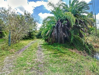 Mixed-Use Development Opportunity | Motivated Seller | Ruskin - photo 3