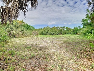 Mixed-Use Development Opportunity | Motivated Seller | Ruskin - photo 8