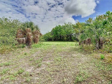 Mixed-Use Development Opportunity | Motivated Seller | Ruskin - photo 10