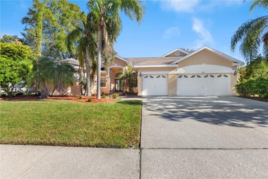 Lake Tarpon Home For Sale in Palm Harbor Florida