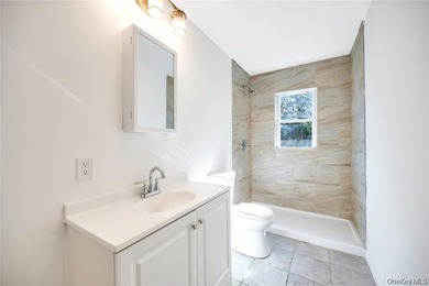 Incredible opportunity to own this newly renovated oversized - photo 22