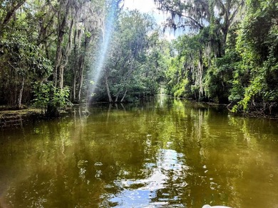 Lake Eustis Lot For Sale in Leesburg Florida