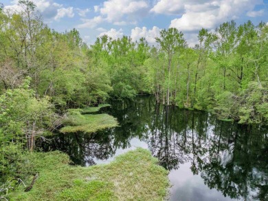 Aucilla River Acreage For Sale in Monticello Florida