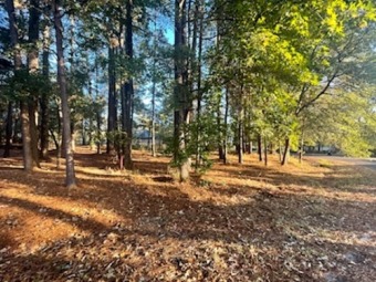 Residential Lot - Shadowood Lake - Lake Lot For Sale in Marshall, Texas