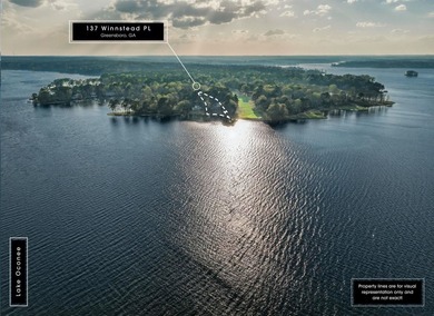 BEST OF LAKE AND GOLF. A SPECIAL PROPERTY IN REYNOLDS!YOU CAN - photo 4