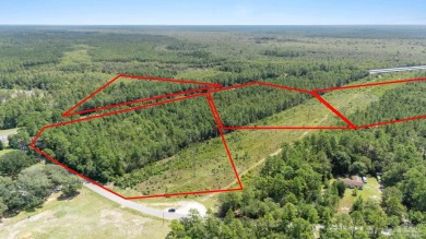 (private lake, pond, coastal) Acreage For Sale in Milton Florida