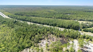 Prime development opportunity with 38+/- acres of wooded land - photo 5