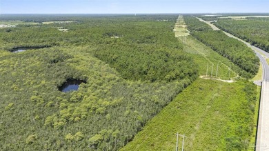 Prime development opportunity with 38+/- acres of wooded land - photo 6