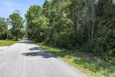 Prime development opportunity with 38+/- acres of wooded land - photo 7