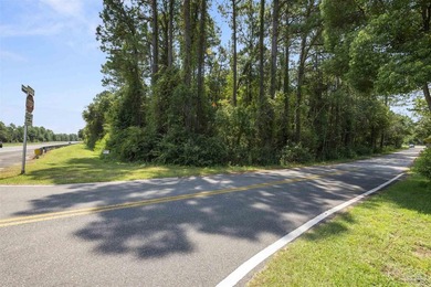 Prime development opportunity with 38+/- acres of wooded land - photo 9
