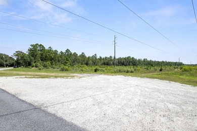 Prime development opportunity with 38+/- acres of wooded land - photo 10