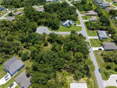 Rare Development Opportunity in North Port! Owner will sell - photo 8