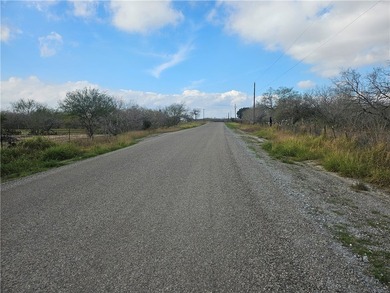Discover 10.474 acres of beautiful South Texas land in San - photo 2