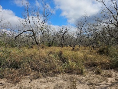 Discover 10.474 acres of beautiful South Texas land in San - photo 4