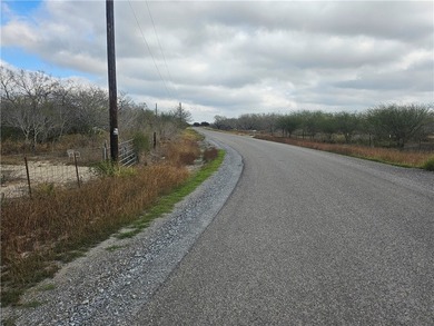 Discover 10.474 acres of beautiful South Texas land in San - photo 5