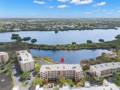 Lake Condo For Sale in St. Petersburg, Florida
