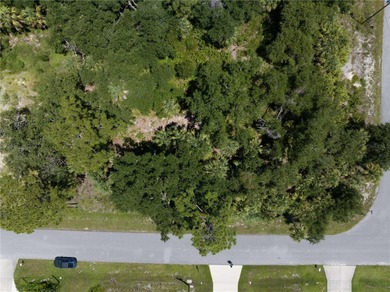 Rare Development Opportunity in North Port! Owner will sell - photo 4