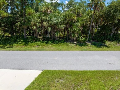 Rare Development Opportunity in North Port! Owner will sell - photo 5