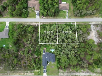 Lehigh Acres Area Lot For Sale in Lehigh Acres Florida