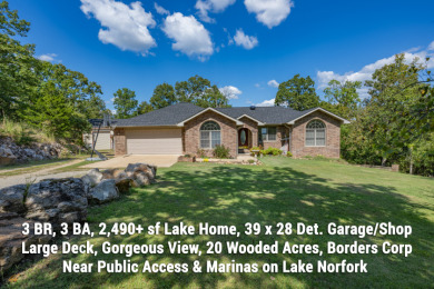 Norfork Lake Home For Sale in Mountain Home Arkansas