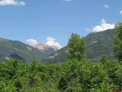 Thad Trujillo, The Wells Group of Durango, LLC, C:,,: A Rare - photo 14