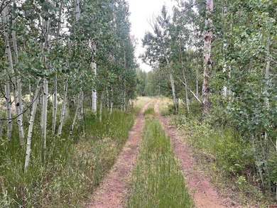 Thad Trujillo, The Wells Group of Durango, LLC, C:,,: A Rare - photo 20