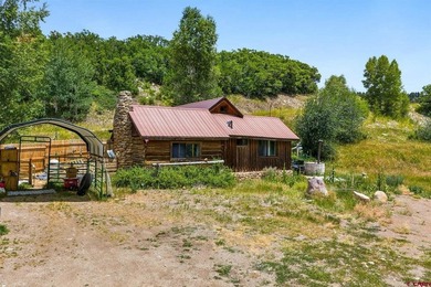 Thad Trujillo, The Wells Group of Durango, LLC, C:,,: A Rare - photo 44