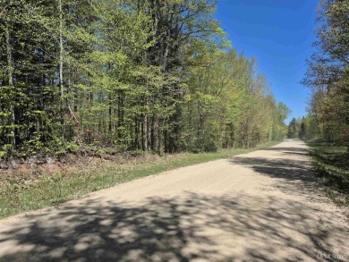 Lake Superior - Alger County Acreage For Sale in Christmas Michigan