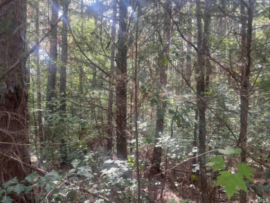 Lake Acreage For Sale in Wake Forest, North Carolina