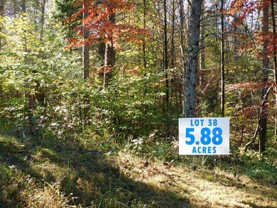 (private lake, pond, coastal) Lot For Sale in Sandy Level Virginia