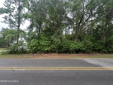 Buildable half acre with access to community deep water boat - photo 1