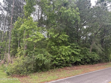Buildable half acre with access to community deep water boat - photo 3