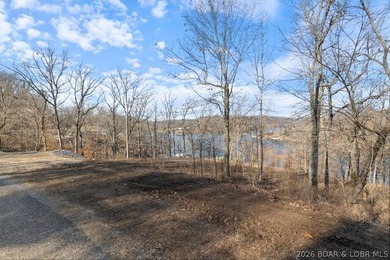 Prime 1.3-Acre Lakefront Canvas: Build Your Dream at Eagle Bay! - photo 19