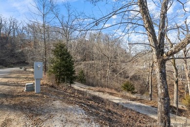 Prime 1.3-Acre Lakefront Canvas: Build Your Dream at Eagle Bay! - photo 21
