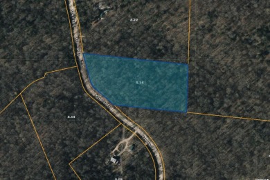 Tennessee River - Decatur County Acreage For Sale in Bath Springs Tennessee