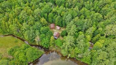 Nestled along legendary Grand Lake Stream, Little Falls Cottage - photo 9