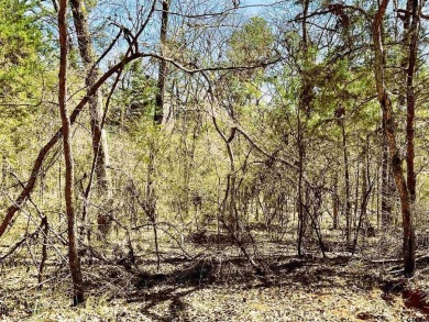 Lake Lot For Sale in Flint, Texas