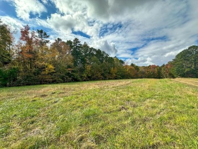 Kerr Lake - Buggs Island Lake Lot For Sale in Buffalo Junction Virginia