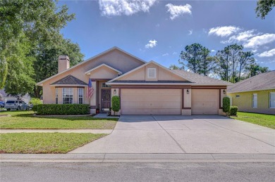 Lake Home For Sale in Valrico, Florida