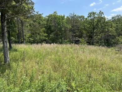 Table Rock Lake Lot For Sale in Cassville Missouri