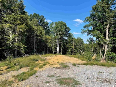 Looking for a place to hook up an RV, and a place to set up camp - photo 25