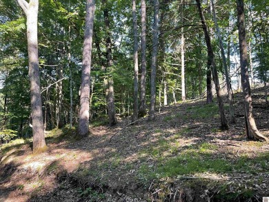 Looking for a place to hook up an RV, and a place to set up camp - photo 28