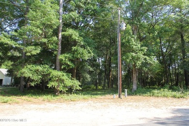 Located in the gated community, this vacant lot awaits your new - photo 1