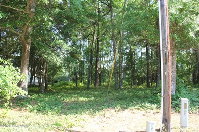 Located in the gated community, this vacant lot awaits your new - photo 2