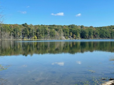 Lake Lot For Sale in Gaylord, Michigan